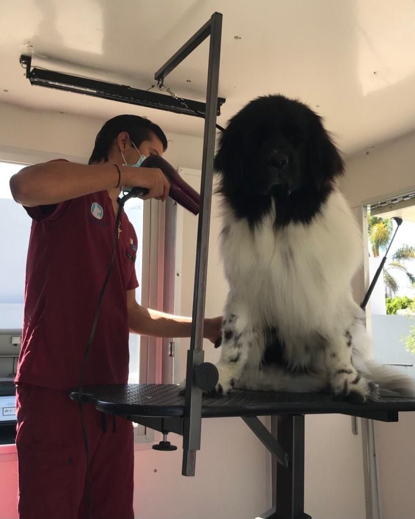 WhatsApp-Image-2021-05-02-at-12.10.30-AM3